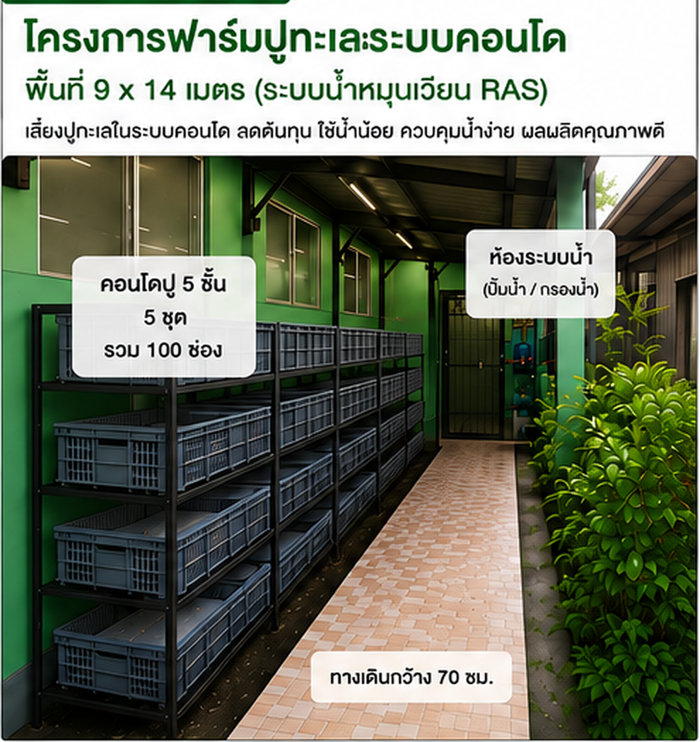 ภาพรวมโครงการคอนโดปูทะเลระบบ RAS